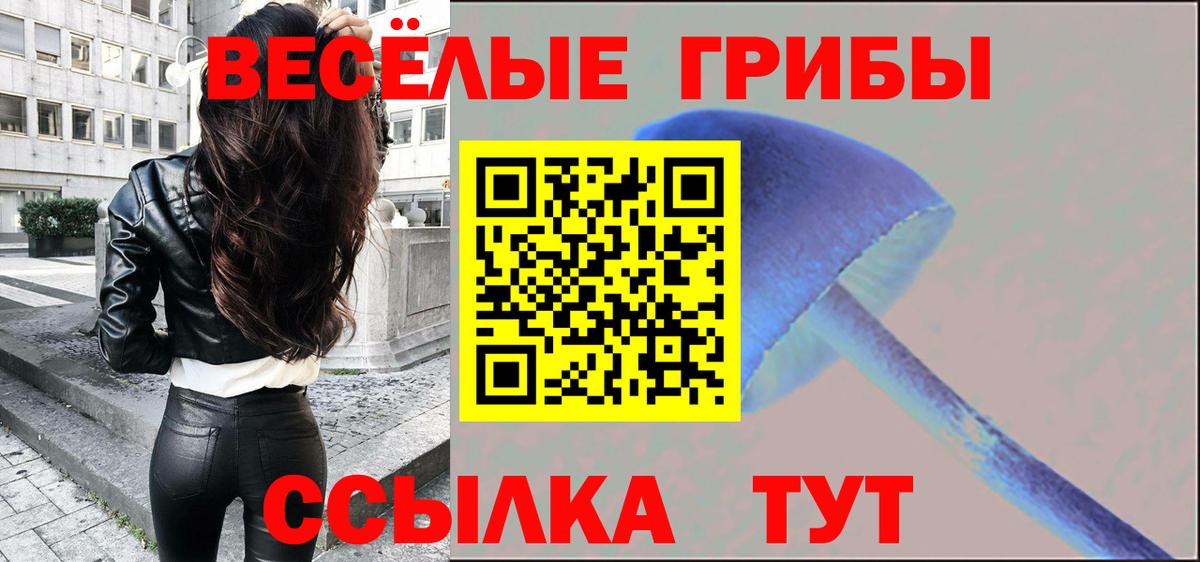 Псилоцибиновые грибы GOLDEN TEACHER Усолье-Сибирское